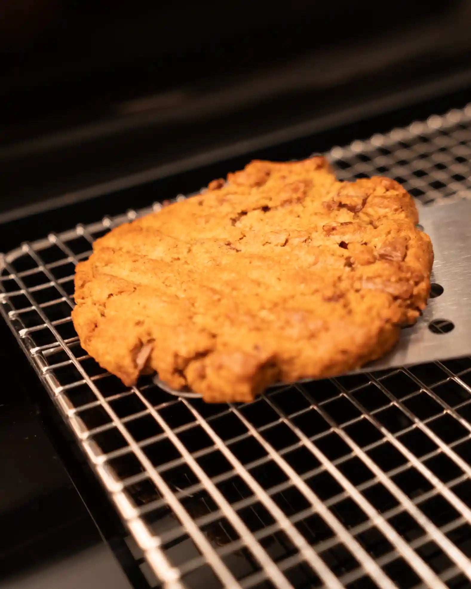 Artisan Honey Peanut Butter Cookie Pucks (Wholesale)