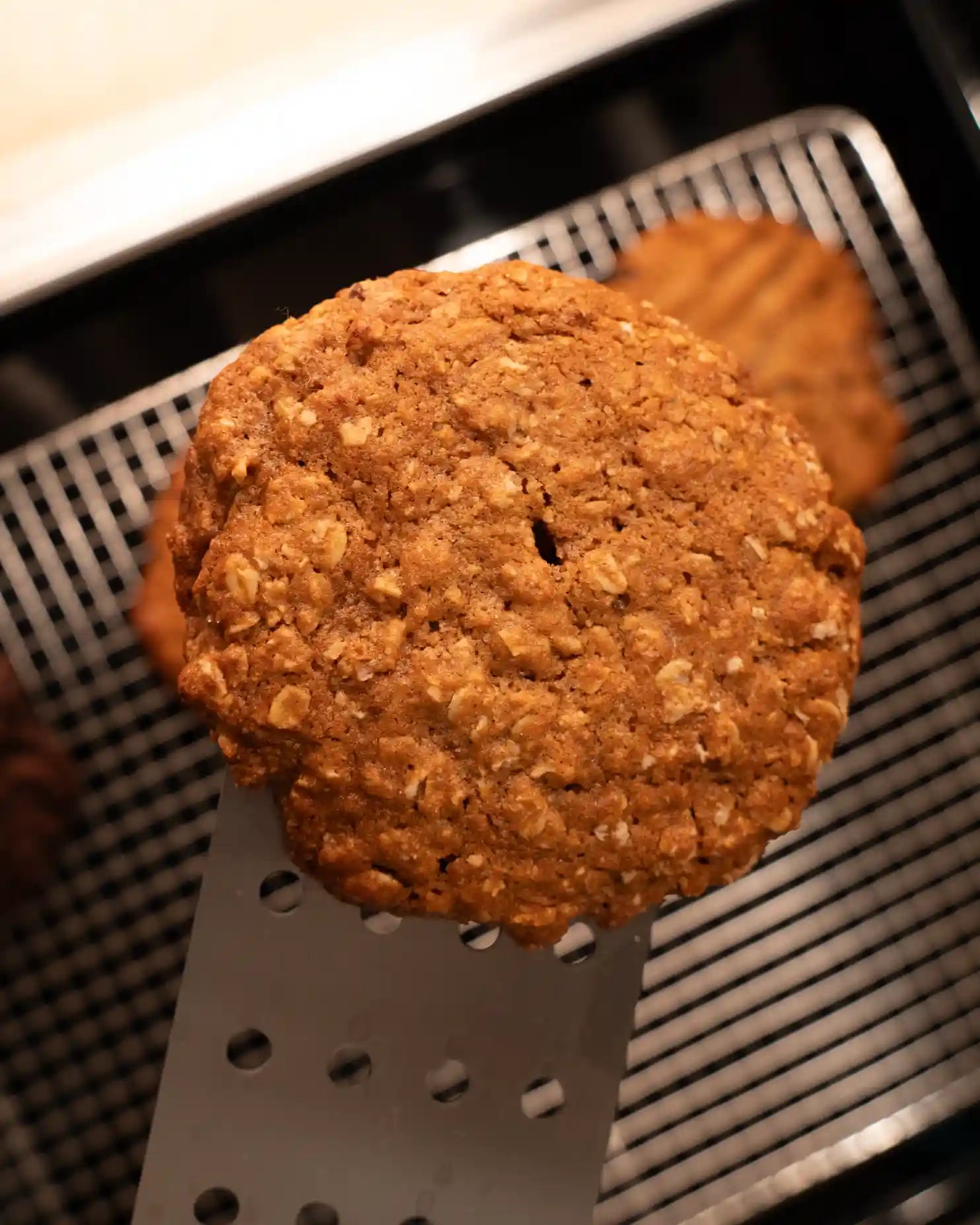 Oatmeal Golden Harvest Cookie Pucks (Wholesale)