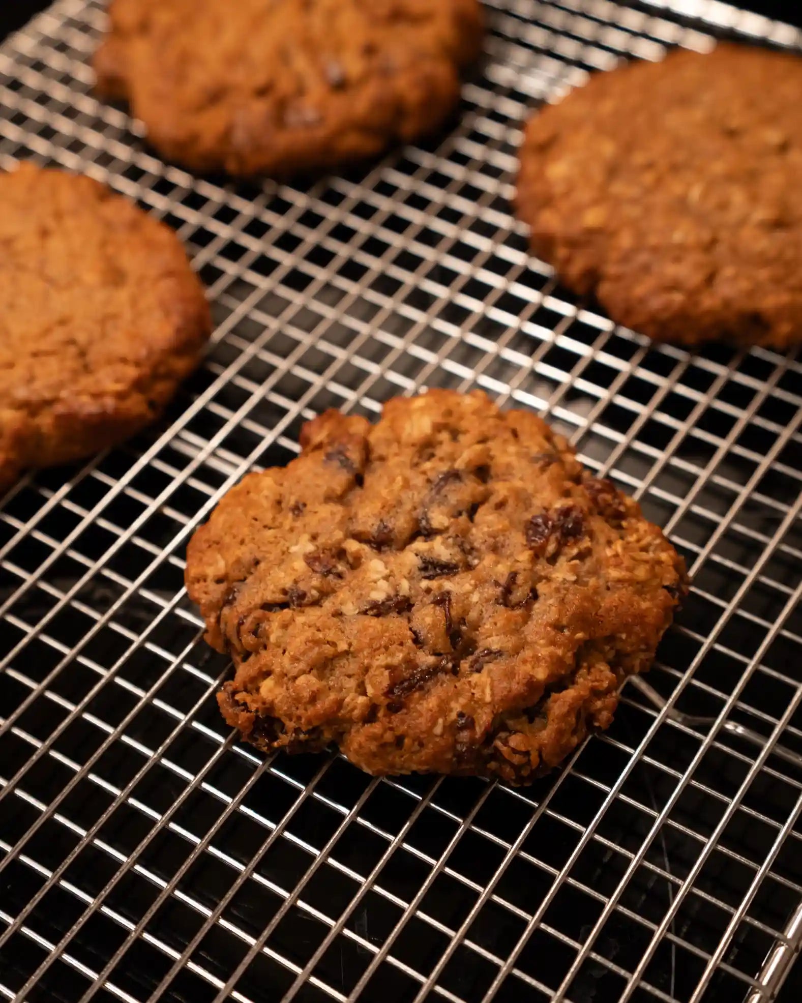 Oatmeal Golden Harvest with Raisins Cookie Pucks 48 Unit IQF Case (Wholesale)