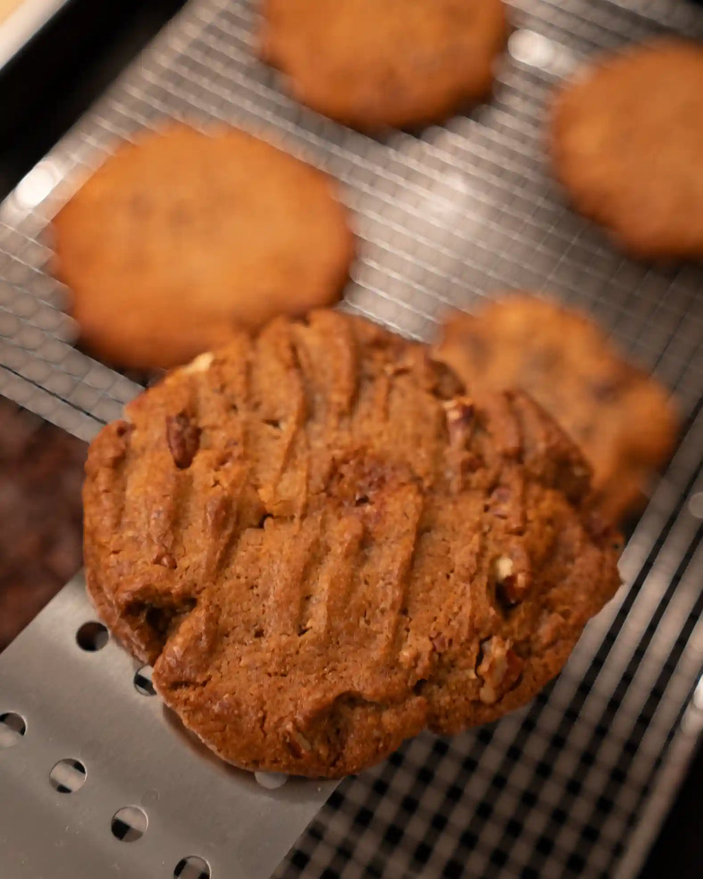 Butter Pecan Caramel Crunch Cookie Pucks (Wholesale)