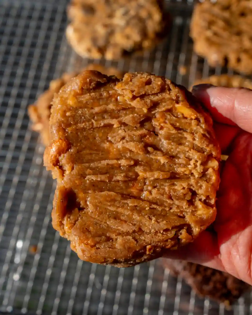 Artisan Honey Peanut Butter Cookie Pucks (Wholesale)
