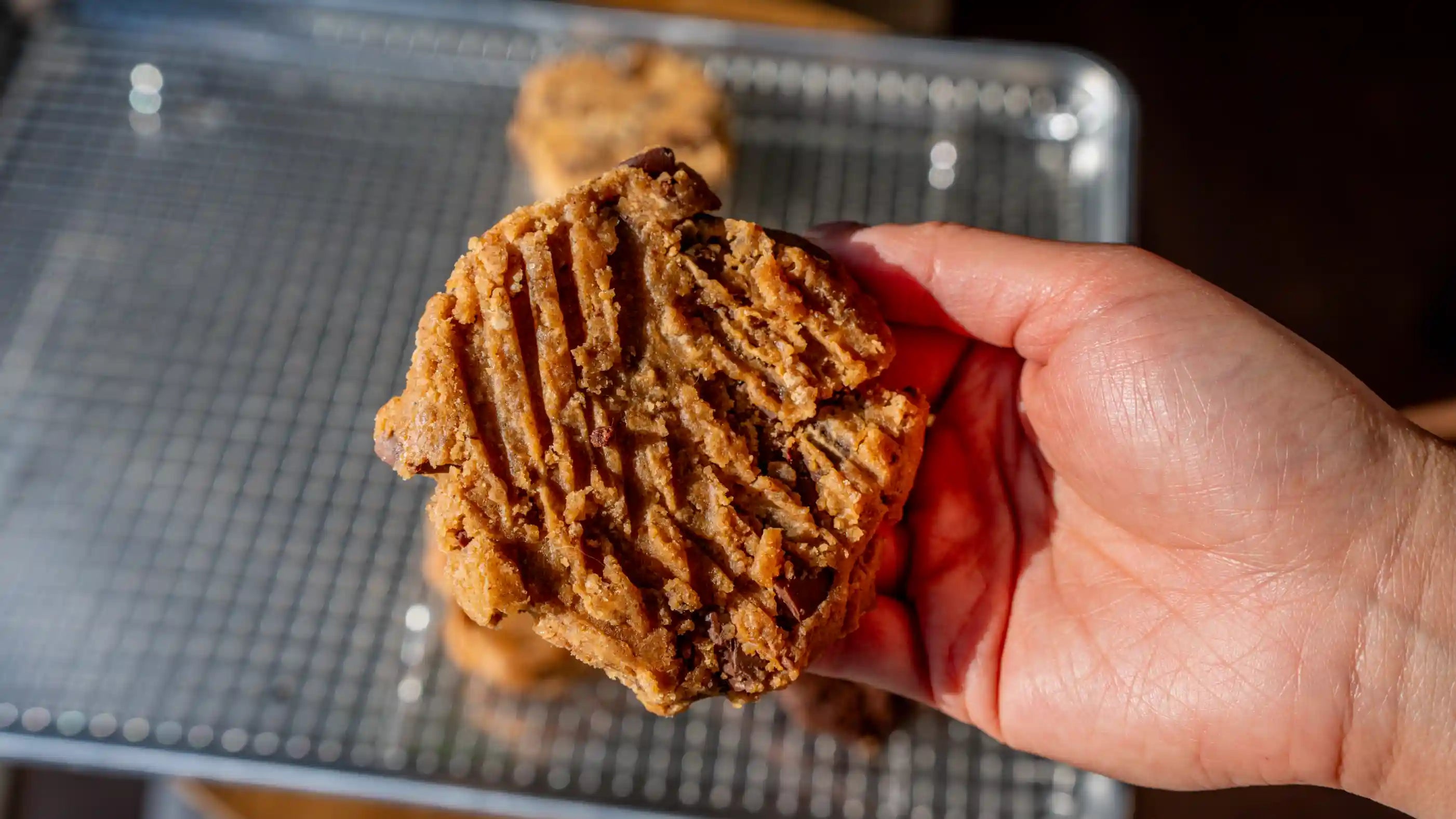 Charlie Chestnut Dark Chocolate Chunk Cookie Pucks (Wholesale)