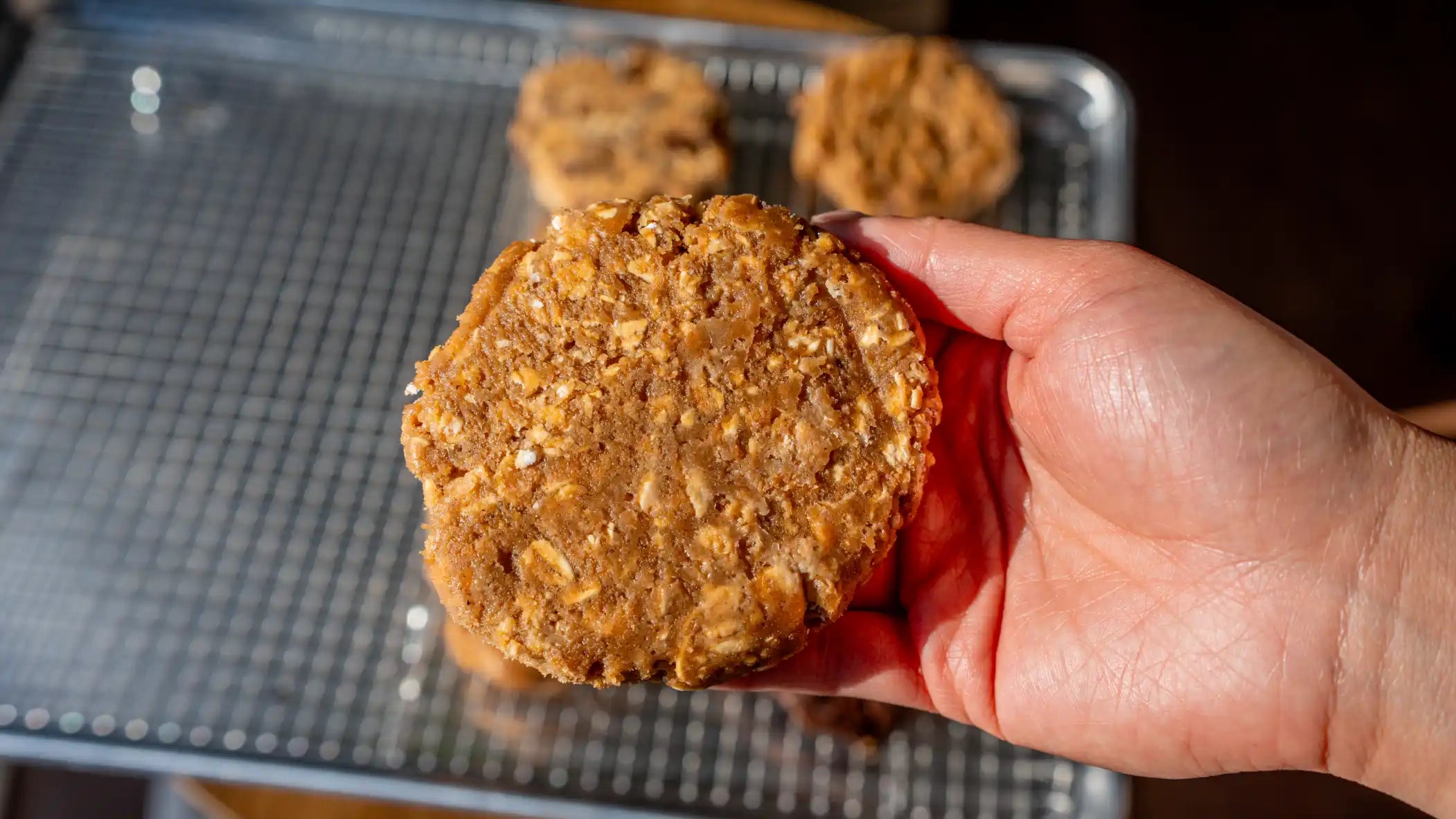 Oatmeal Golden Harvest Cookie Pucks (Wholesale)